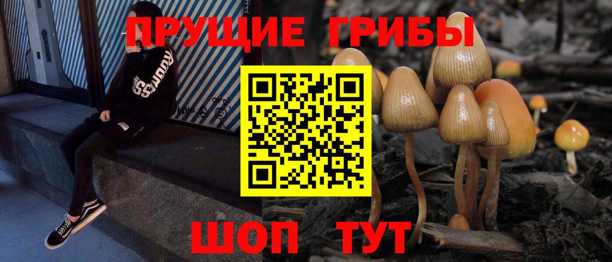 Сыктывкар  Псилоцибиновые грибы Cubensis  Галлюциногенные грибы Cubensis  Вход с VPN 